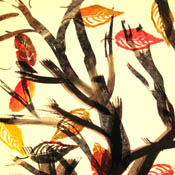 beech detail window shade